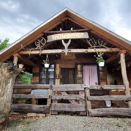 Casa Rustic Fehér&Fekete Vendégházak Sovata Esterno foto