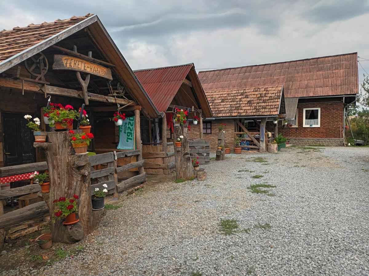 Casa Rustic Fehér&Fekete Vendégházak Sovata Esterno foto